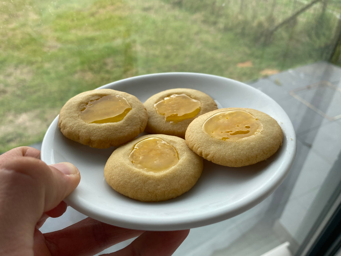 Limonelas